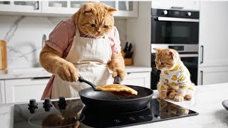 Easy English Story : Mama Cat and Kitten Morning Routine 😺 