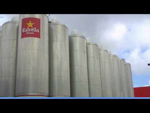 Ingenieurbüro Hornauer - Absteckung Massenermittlung in Roding