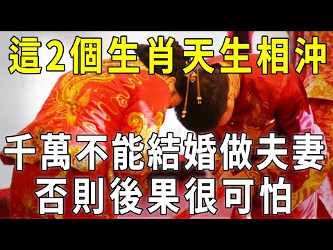 母子生肖相沖