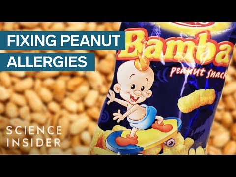 Why Hardly Anyone In Israel Is Allergic To Peanuts Video