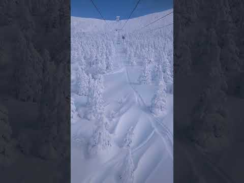 #Shorts #Zao #juhyo (frozen woods) from Zao Ropeway #snowmonster
