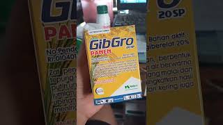 Download lagu gibgro panen #pestisida #pupuk #shortvideo mp3 Download lagu gibgro panen #pestisida #pupuk #shortvideo mp3