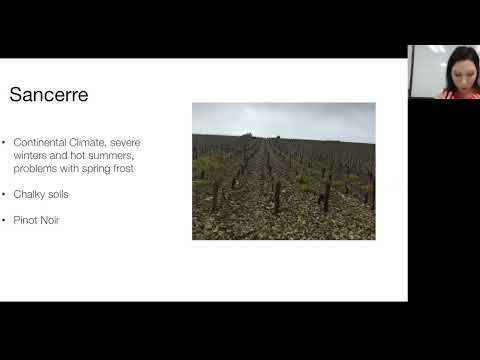Rose Masterclass - Napa Valley Wine Academy - #wset #winetips - Sancerre