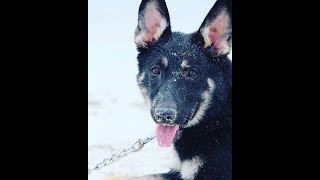 RichKidz I See You Lyrics