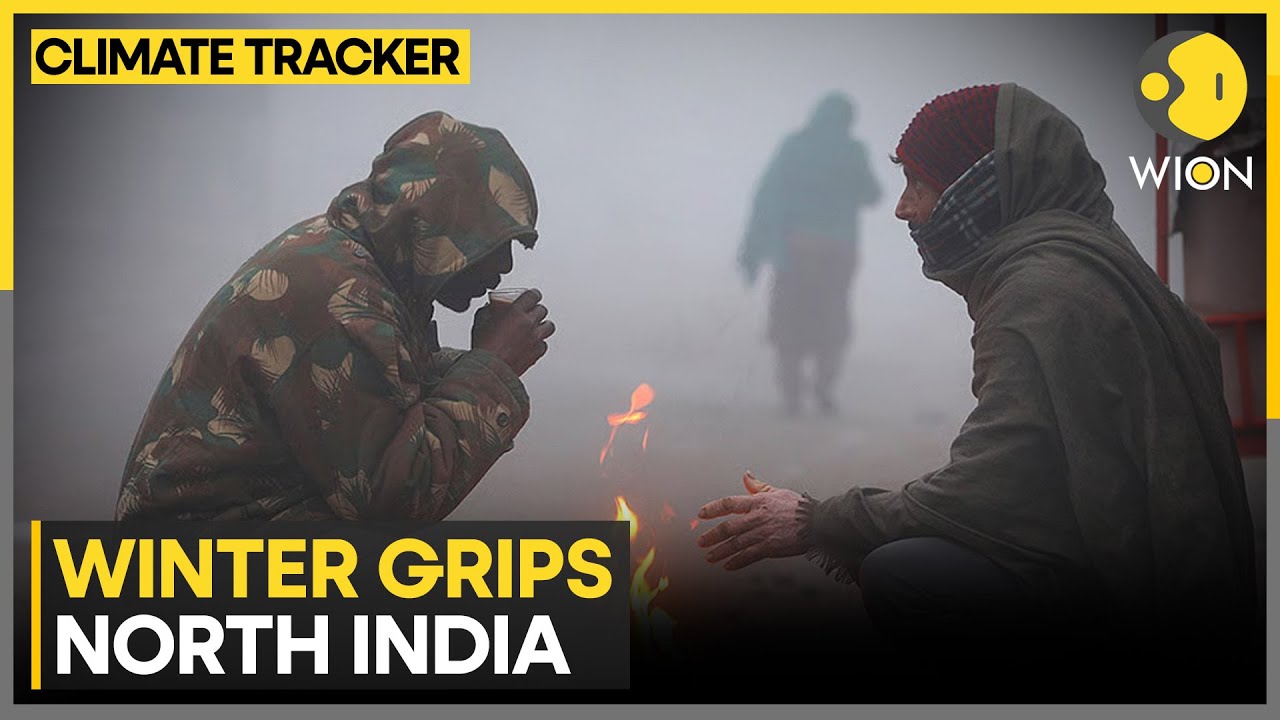 IMD Warns Of Prolonged Cold & Poor Visibility | WION Climate Tracker