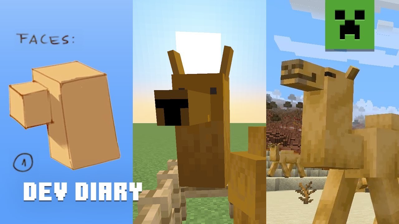 Miniature vidéo