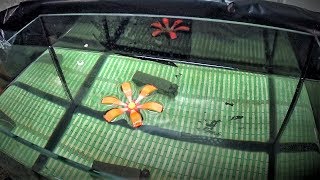 Лучший поплавок для зимней рыбалки
