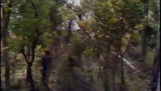 Joe Palandri - Sleeper Cutting