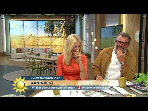 Jenny och Steffos fnissattack: "Näää, kantareller är gula - du är orange" - Nyhetsmorgon (TV4)