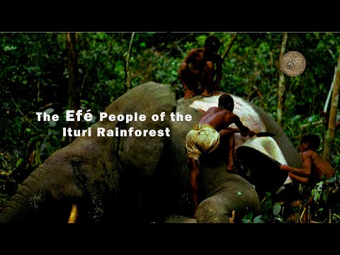 The Efé People of the Ituri Rainforest | Guardians of an Ancient Way of Life | Pygmy people