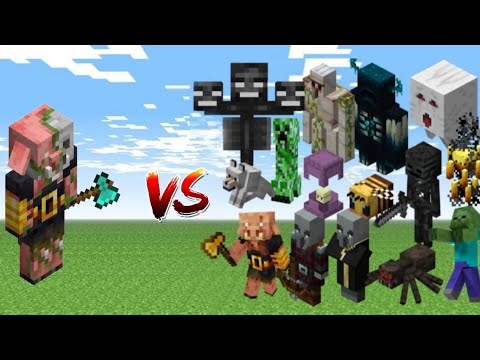 New Piglin brute vs Every mob in Minecraft (Java  Edition) - Minecraft 1.21Piglin brute vs all mobs