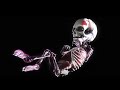 Vladimir Cauchemar - Anthropology (Official Music Video)