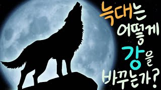 늑대는 어떻게 강을 바꾸는가? (옐로스톤 늑대의 생태계 평형 만들기 프로젝트)