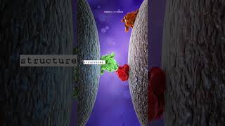 DeepMind AI and AlphaFold #ai #bigdata #biology #bioinformatics