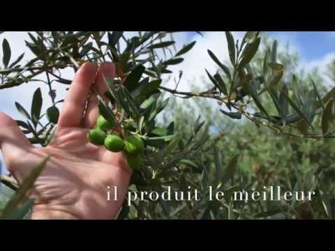 download lagu mp3 mp4 Huile D Olive Sicile, download lagu Huile D Olive Sicile gratis, unduh video klip Huile D Olive Sicile