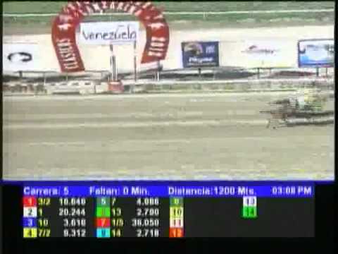 Resumen Sabado, 15 de Septiembre de 2012 - La Rinconada