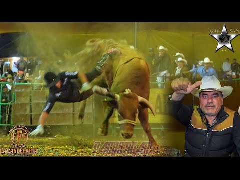 R. LA CANDELARIA, LE PELEARON LOS JINETES PERO ESTOS SON UNOS TORAZOS.