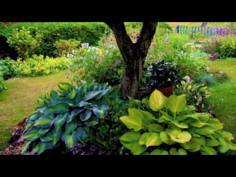 ...somber rain drops