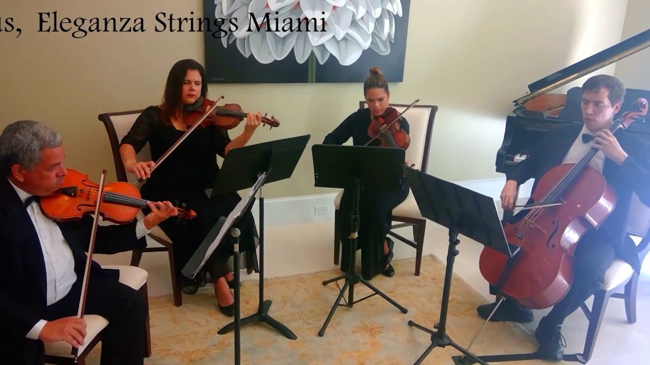 Promotional video thumbnail 2 for Eleganza Strings