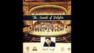 The sounds of babylon- Nargis-Music arranged & played by:Ameel Assofi نركس