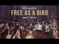 Free As A Bird