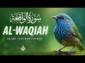 Best Relaxing Quran Surah Waqiah سورة الواقعة Amazing Voice Al Taqwa TV