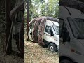 Mobil Dililit Ular Besar Shorts Short Snake Car