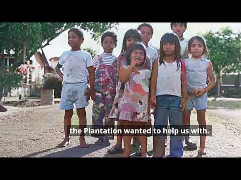 Roots of Resilience: Stories of Hāmākua Sugar