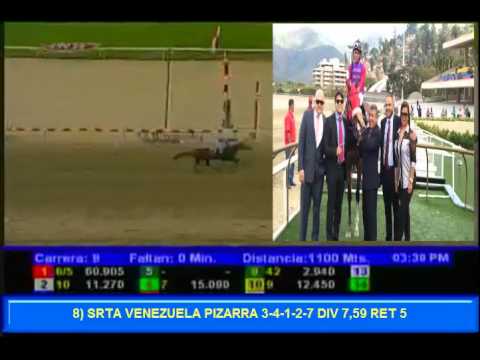 RESUMEN LA RINCONADA DOMINGO 15 FEBRERO 2015