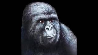 Sleigh Bells You Lost Me