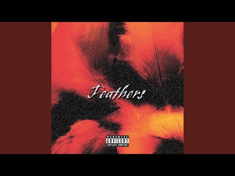 Feathers