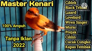 Download lagu Masteran kenari full isian Suara jernih Cengkok mewah juara #masterankenarigacor mp3 Download lagu Masteran kenari full isian Suara jernih Cengkok mewah juara #masterankenarigacor mp3