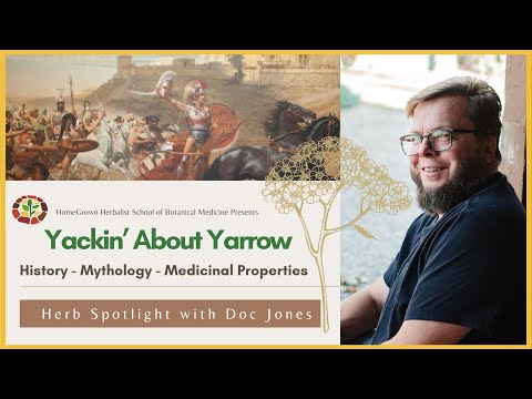 Yackin' about Yarrow - The Wound Healing Super Herb!