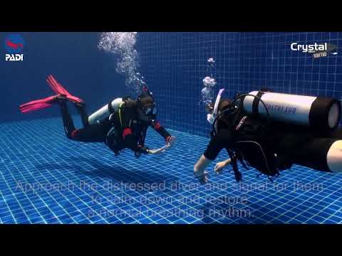 PADI Rescue Diver Course Skill: How to Rescue a Distressed Scuba Diver - How to Respond