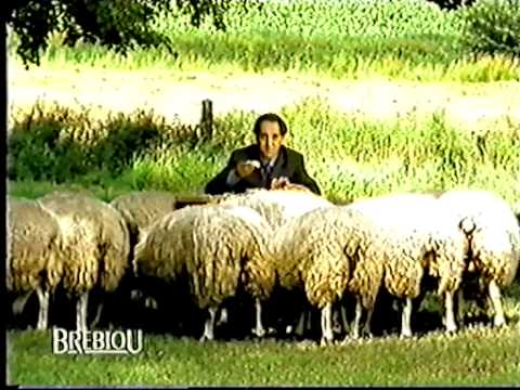 download lagu mp3 mp4 Brebiou, download mp3 Brebiou free download, download mp3 Brebiou