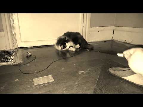 Annoying Tuba pt. 264