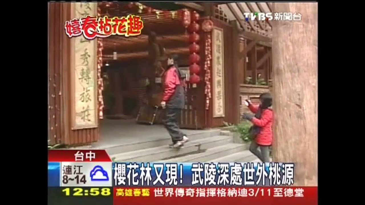 櫻花林又現! 武陵深處世外桃源