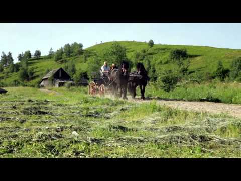 Prezentare Toaca Bellevue