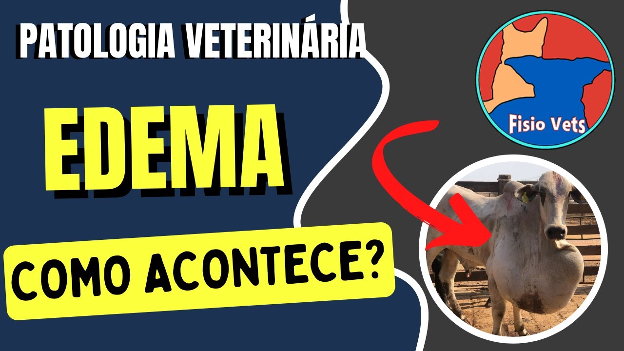 Edema: mecanismos fisiopatológicos - Patologia geral - Medicina veterinária