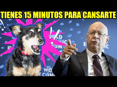 🥵Cansa a tu perro en 15 minutos y combate el cambio climático🌍