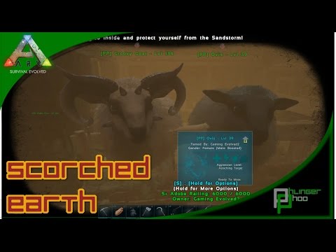 Ovis Taming+Breeding, Wolf and Kapro Taming! Ark: SE in Scorched Earth #18