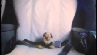 Almost Home  - Teaser Clip