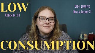 Low Consumption Challenge: 1 Month Check In | ❄️Vlogmas Day 6❄️
