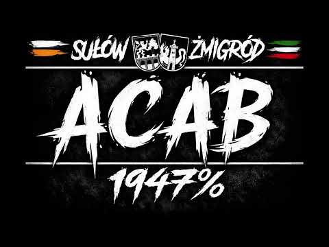 Żmigrodzka Patologia & Sułowska Barycz