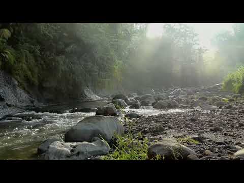 Leises Geplätscher eines Baches [2,5h] - Naturgeräusche für tiefe Entspannung