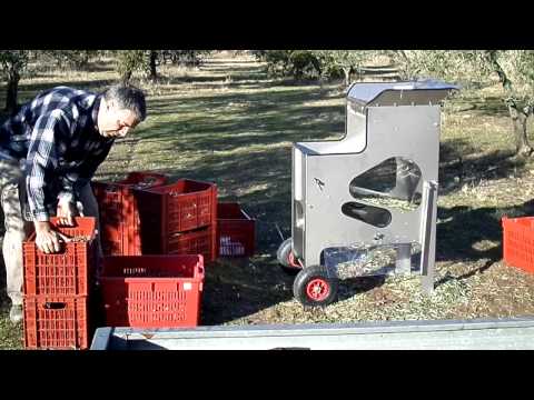 Sigma - effeuilleuse pour olives_3