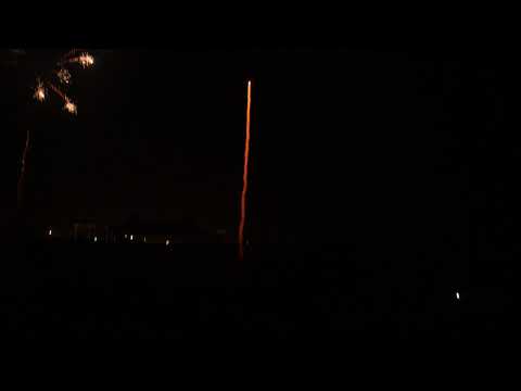 SS50-20 time rain willow comet, Pyrotrade fireworks