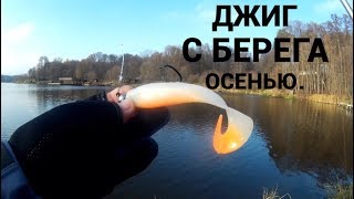 Щука в подмосковье где ловить осенью с берега