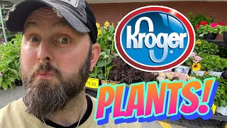 You Won’t Believe Kroger’s Plant Prices Right Now!