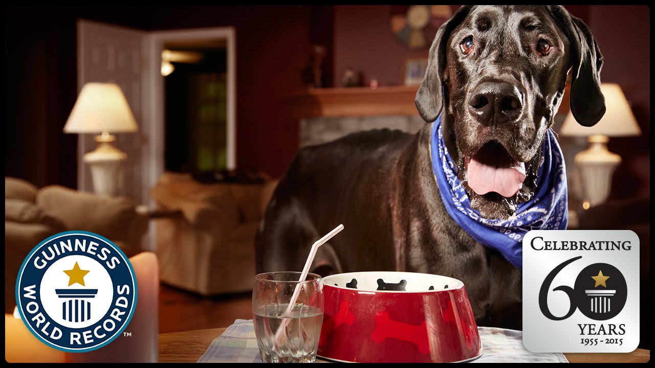 YouTube video preview